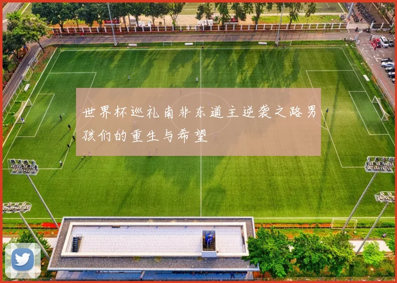 世界杯巡礼南非东道主逆袭之路男孩们的重生与希望
