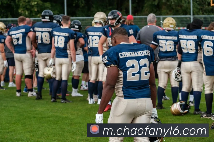 奖项证书